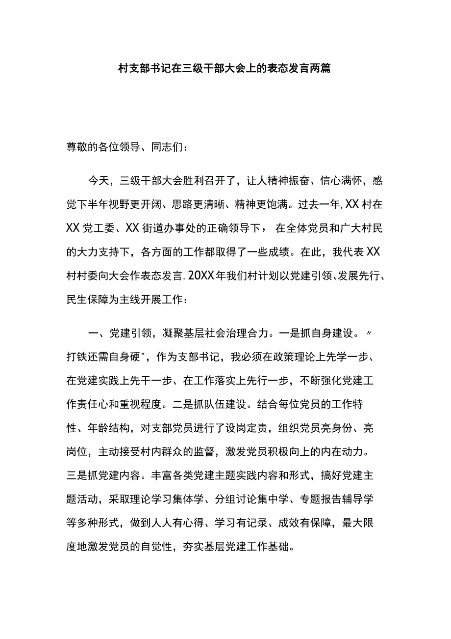 村支部书记在三级干部大会上的表态发言两篇.docx_第1页