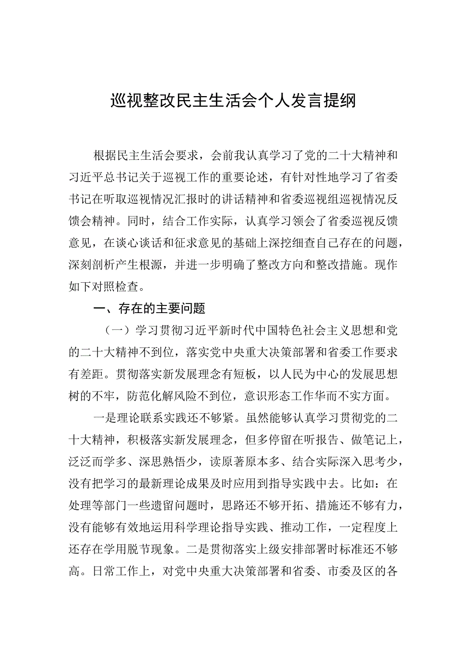 巡视整改民主生活会个人发言提纲.docx_第1页