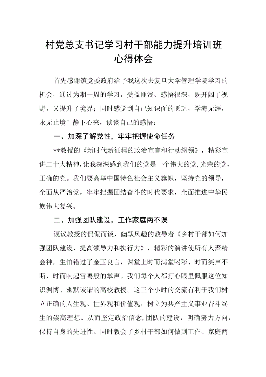 村党总支书记学习村干部能力提升培训班心得体会.docx_第1页