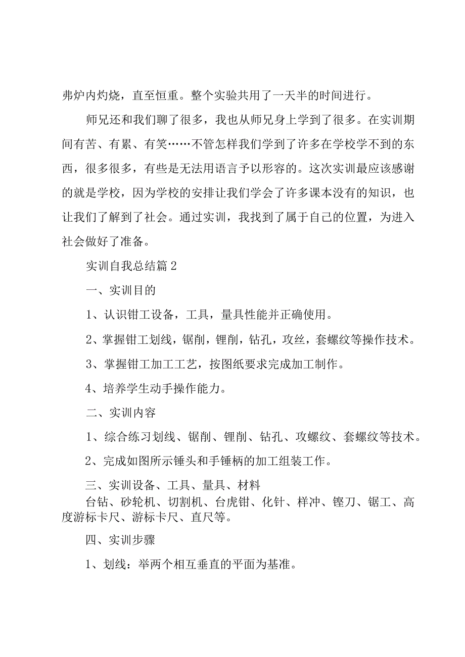 实训自我总结（3篇）.docx_第2页