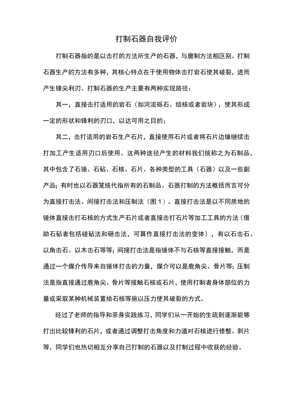 打制石器自我评价.docx_第1页