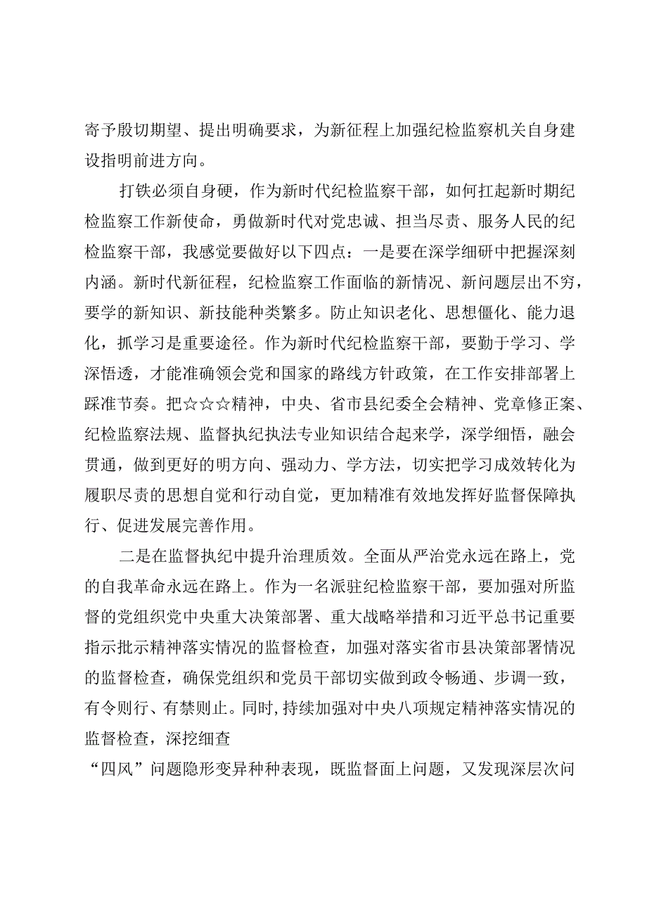 纪检监察干部队伍教育整顿“牢记领袖嘱托永葆铁军本色”纪检监察干部研讨心得发言【5篇】.docx_第2页