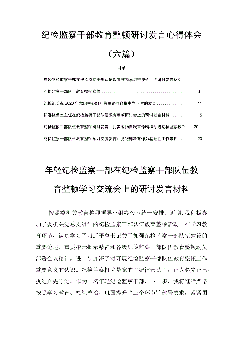 纪检监察干部教育整顿研讨发言心得体会(六篇).docx_第1页