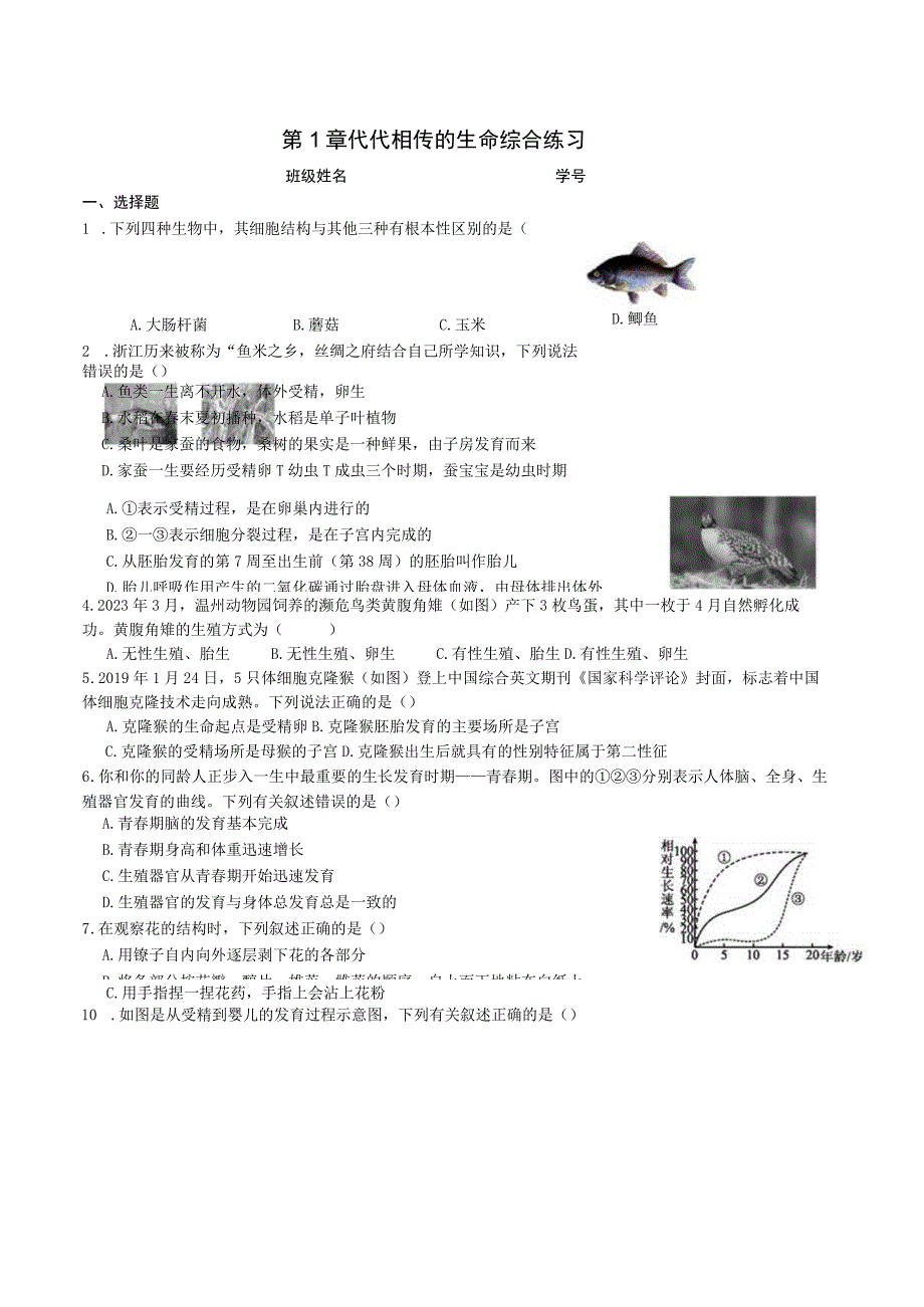 第1章 代代相传的生命 综合练习公开课教案教学设计课件资料.docx_第1页