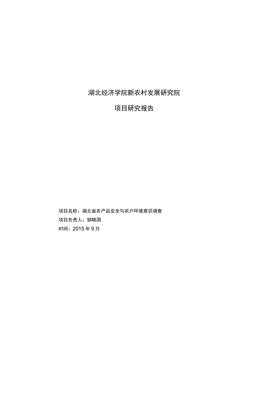 湖北经济学院新农村发展研究院项目研究报告.docx_第1页