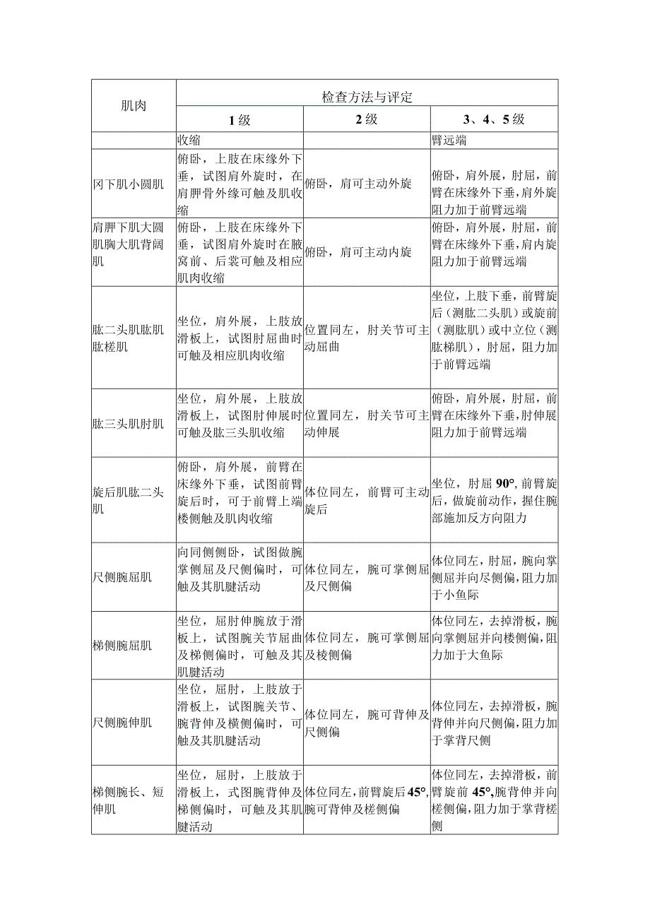 肌力评定.docx_第3页