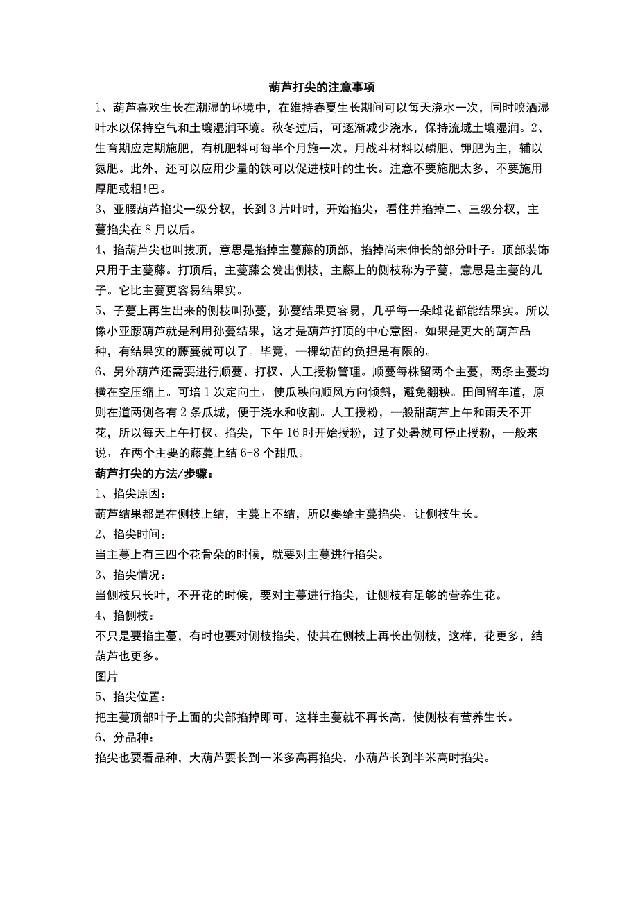 葫芦打尖的注意事项.docx_第1页