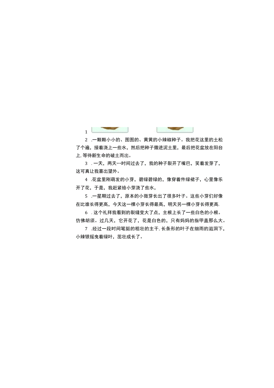 辣椒成长记植物成长记观察日记小报手抄报.docx_第1页