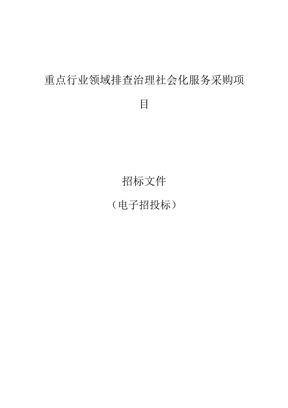 重点行业领域排查治理社会化服务采购项目招标文件.docx_第1页