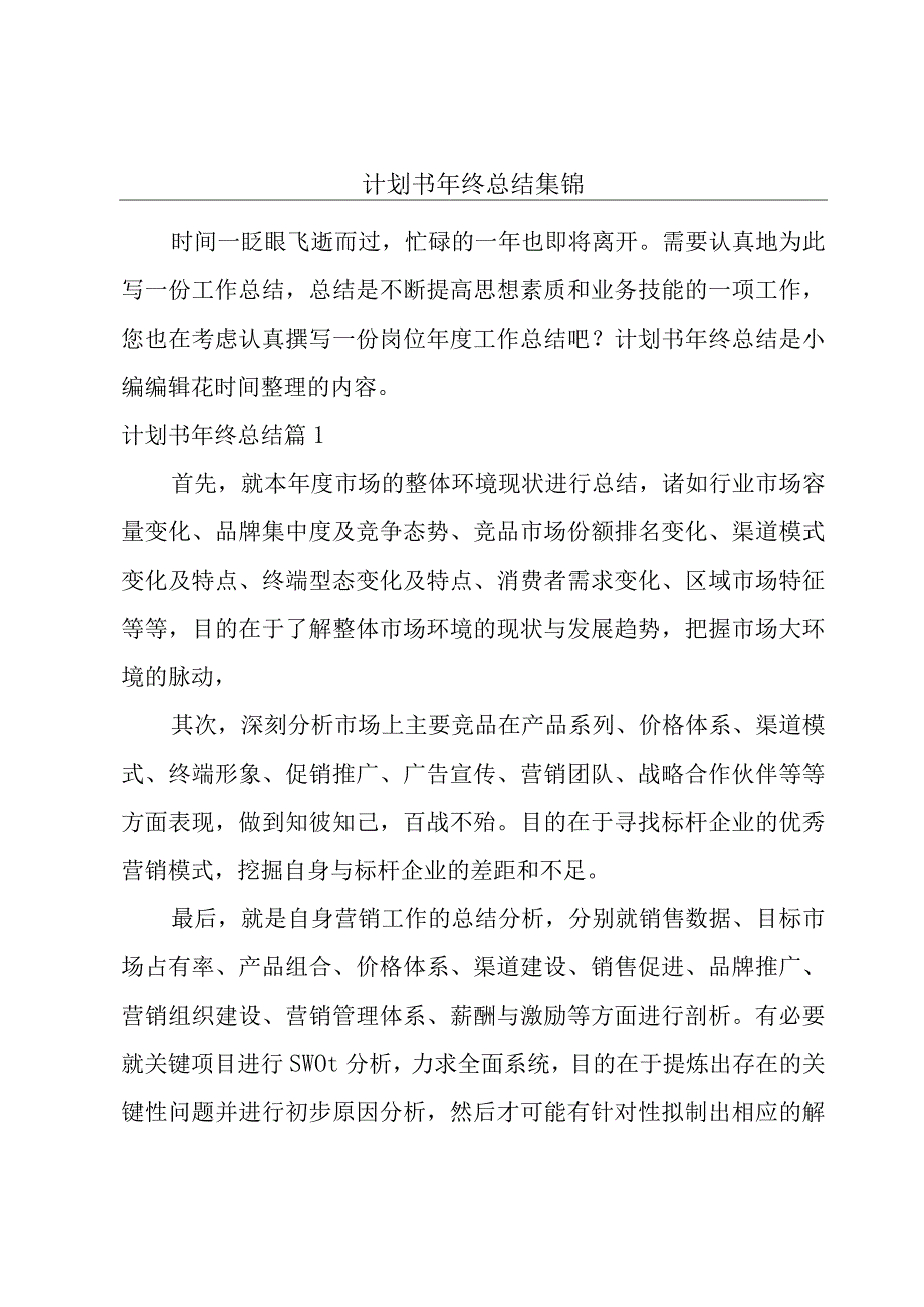 计划书年终总结集锦.docx_第1页