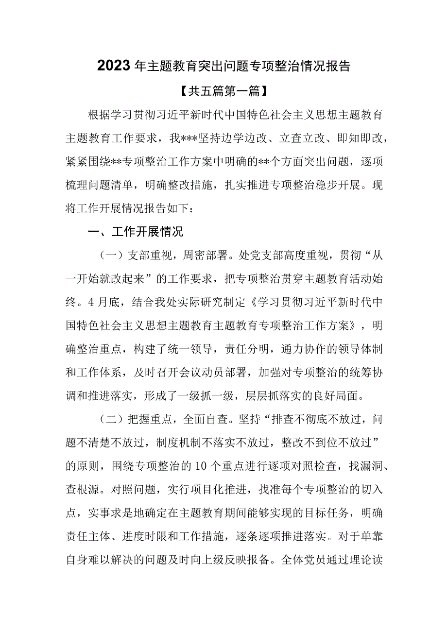 （5篇）2023年主题教育突出问题专项整治情况报告.docx_第1页