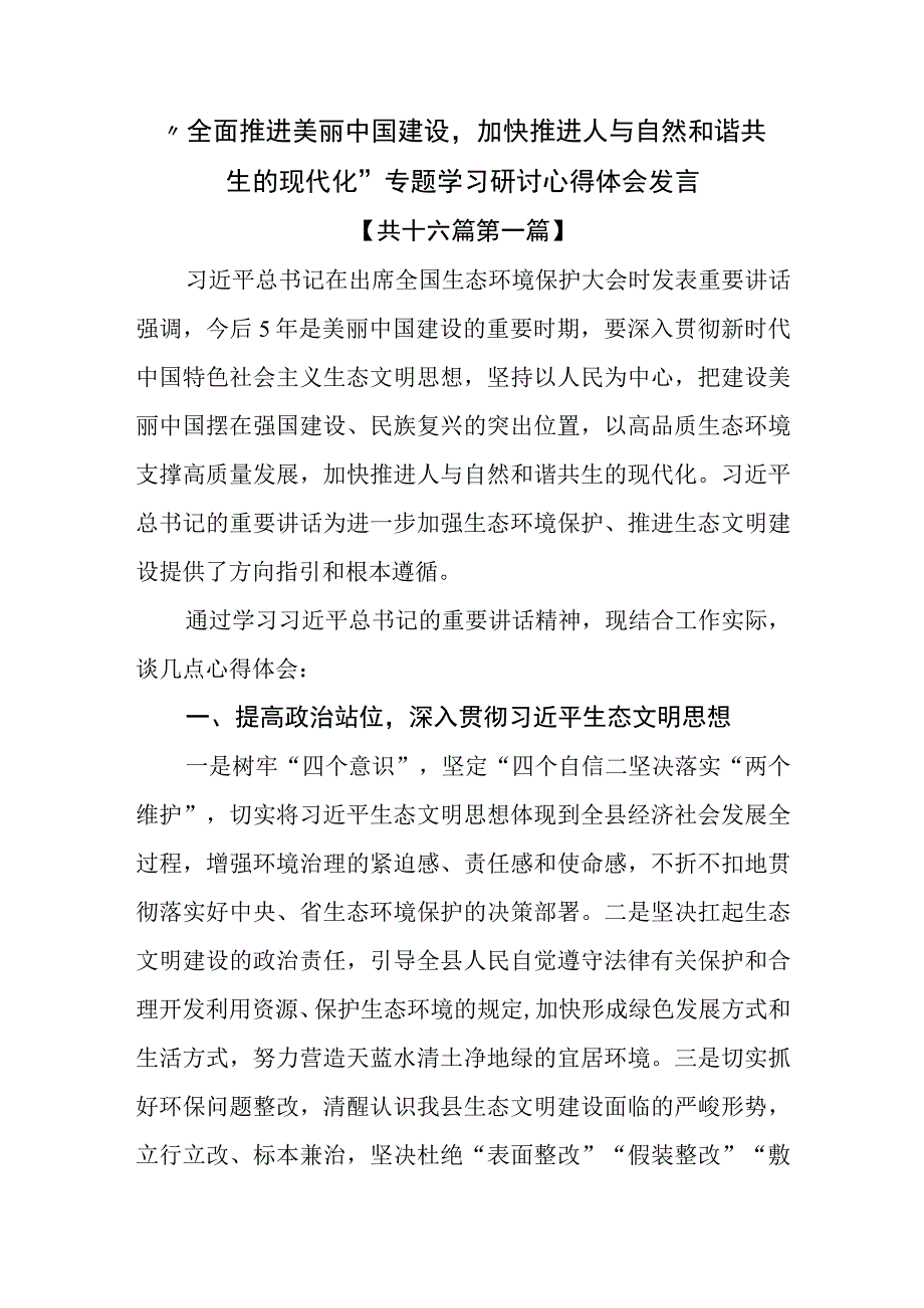 （16篇）“全面推进美丽中国建设加快推进人与自然和谐共生的现代化”专题学习研讨心得体会发言.docx_第1页