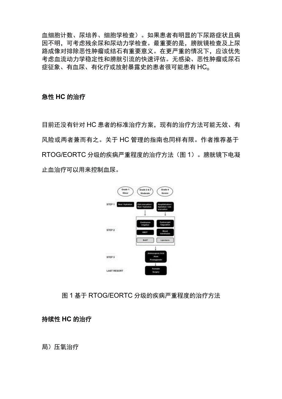 2023出血性膀胱炎的研究进展.docx_第3页