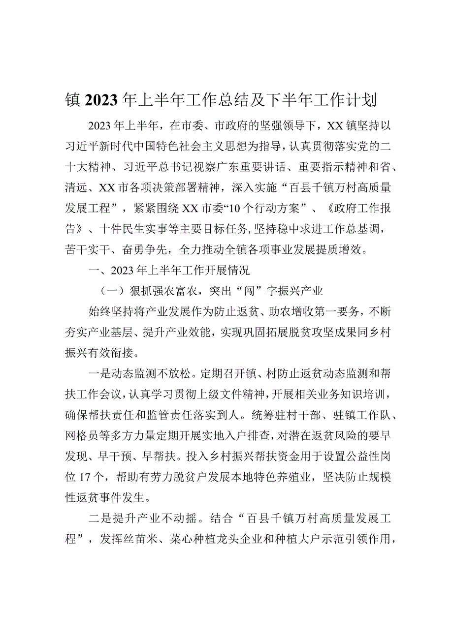 镇2023年上半年工作总结及下半年工作计划.docx_第1页