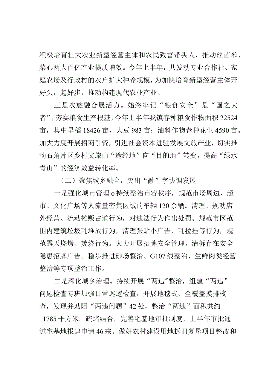 镇2023年上半年工作总结及下半年工作计划.docx_第2页