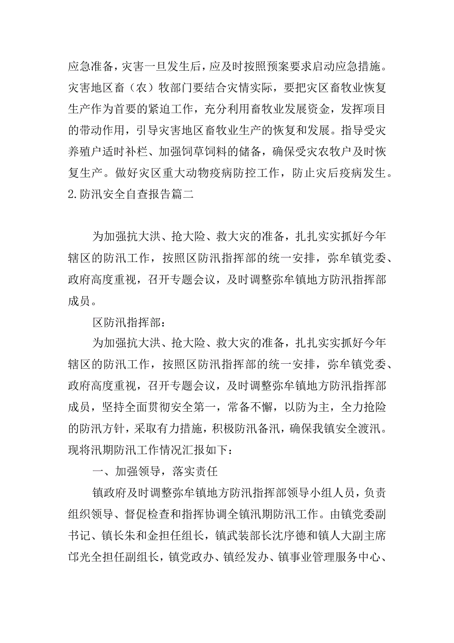 防汛安全自查报告.docx_第3页