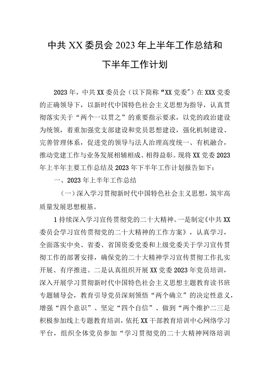 2023年上半年中共XX委员会工作总结和下半年工作计划.docx_第1页