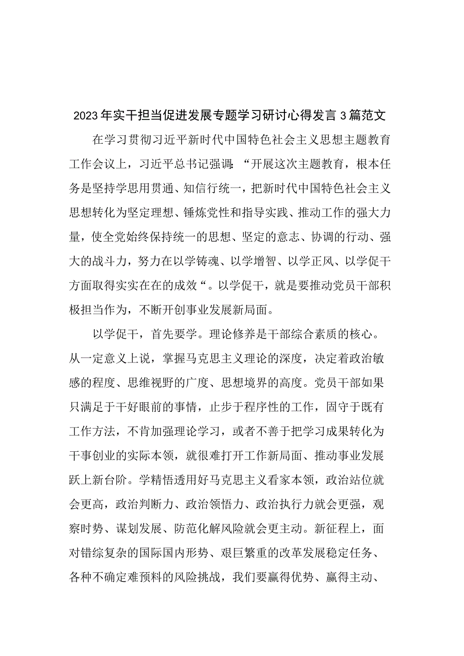 2023年实干担当促进发展专题学习研讨心得发言3篇范文.docx_第1页