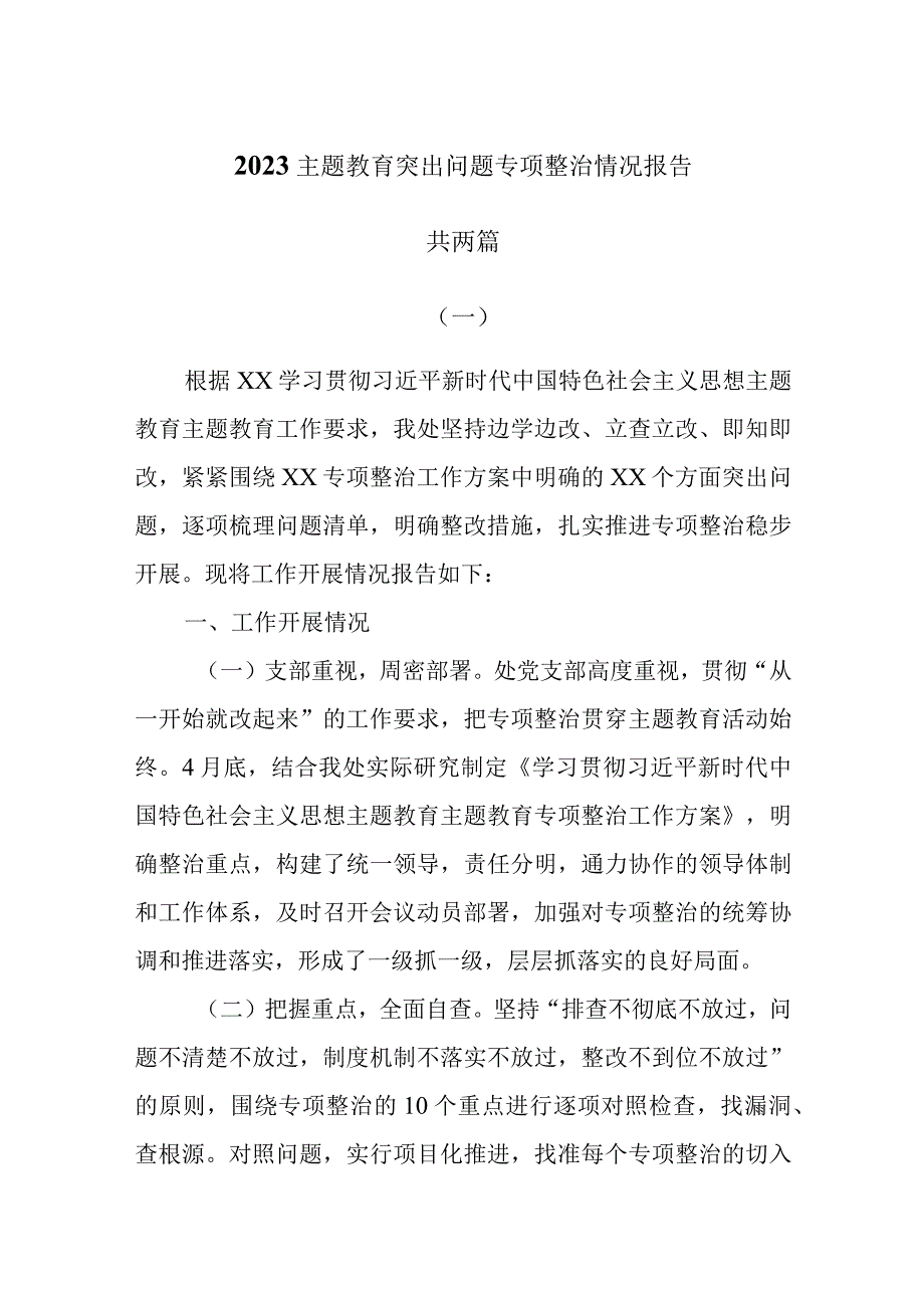 2023主题教育突出问题专项整治情况报告共两篇.docx_第1页