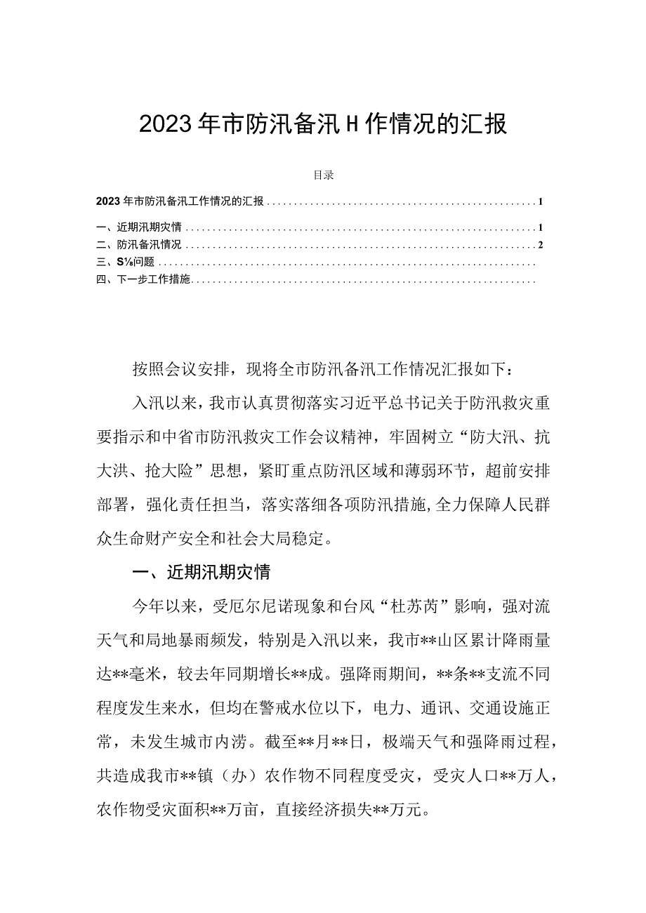 2023年市防汛备汛工作情况的汇报.docx_第1页