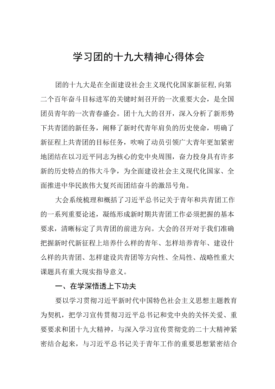 2023年青年团第十九次全国代表大会精神学习心得体会十一篇.docx_第1页