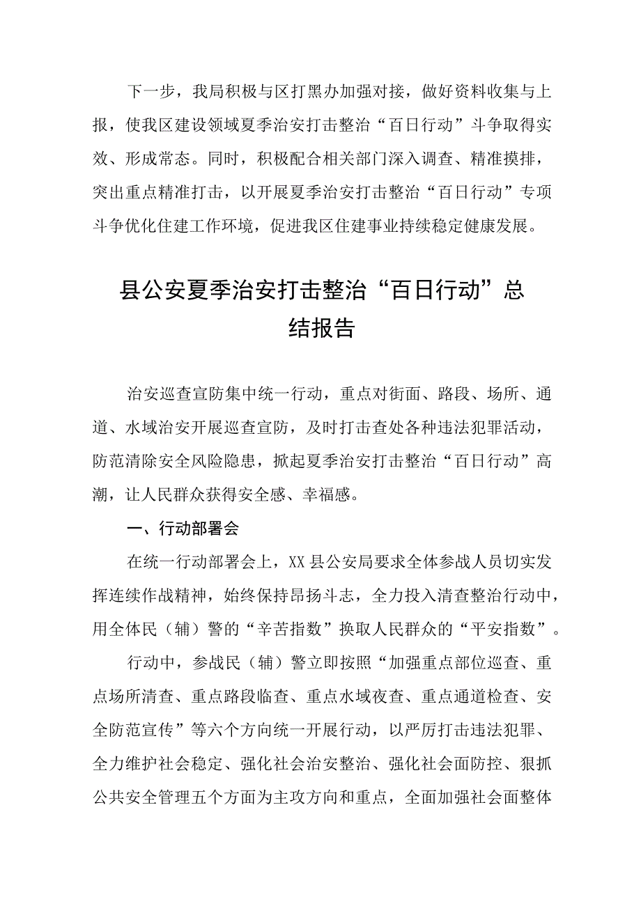 2023开展夏季治安打击整治“百日行动”工作总结六篇.docx_第3页