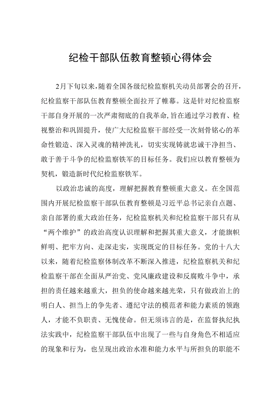 2023纪检干部队伍教育整顿心得体会研讨发言(八篇).docx_第1页