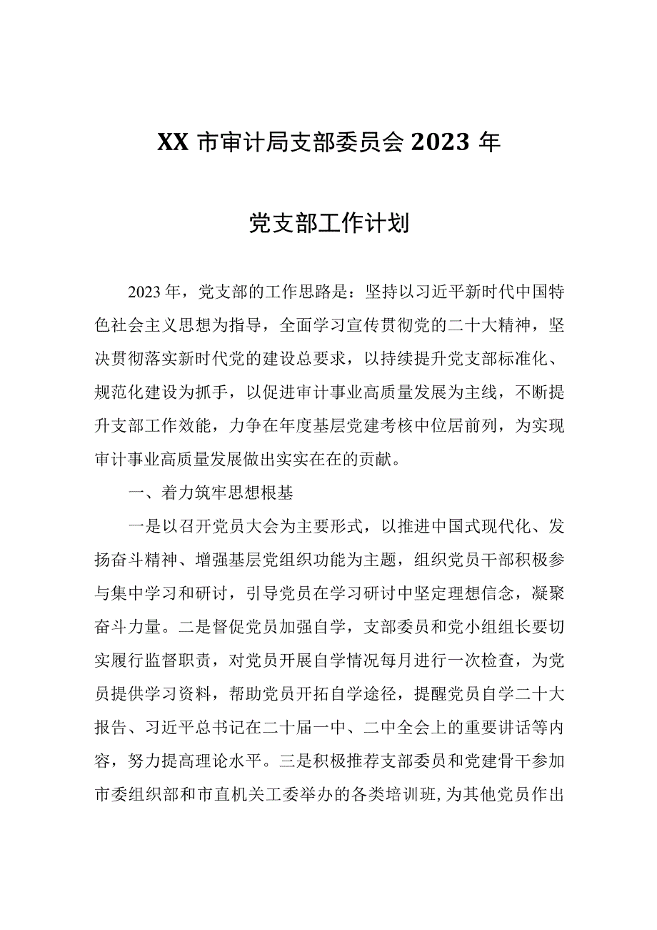 XX市审计局支部委员会2023年党支部工作计划.docx_第1页