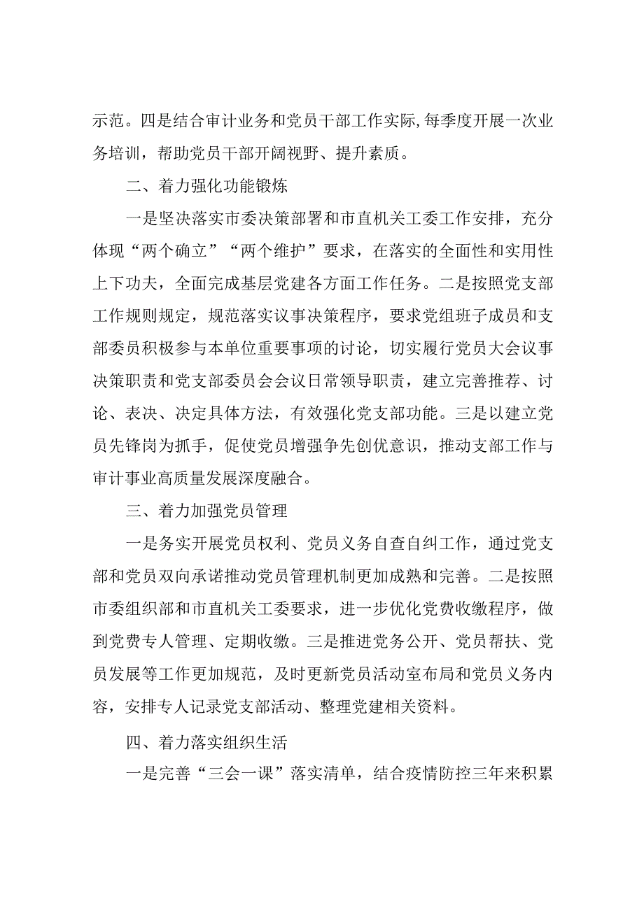 XX市审计局支部委员会2023年党支部工作计划.docx_第2页