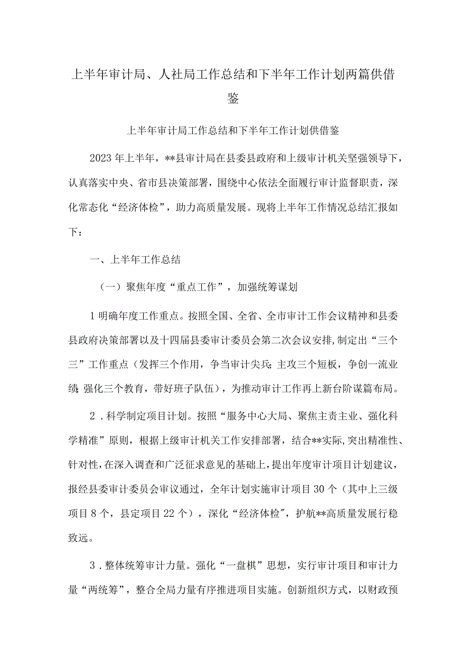 上半年审计局、人社局工作总结和下半年工作计划两篇供借鉴.docx_第1页