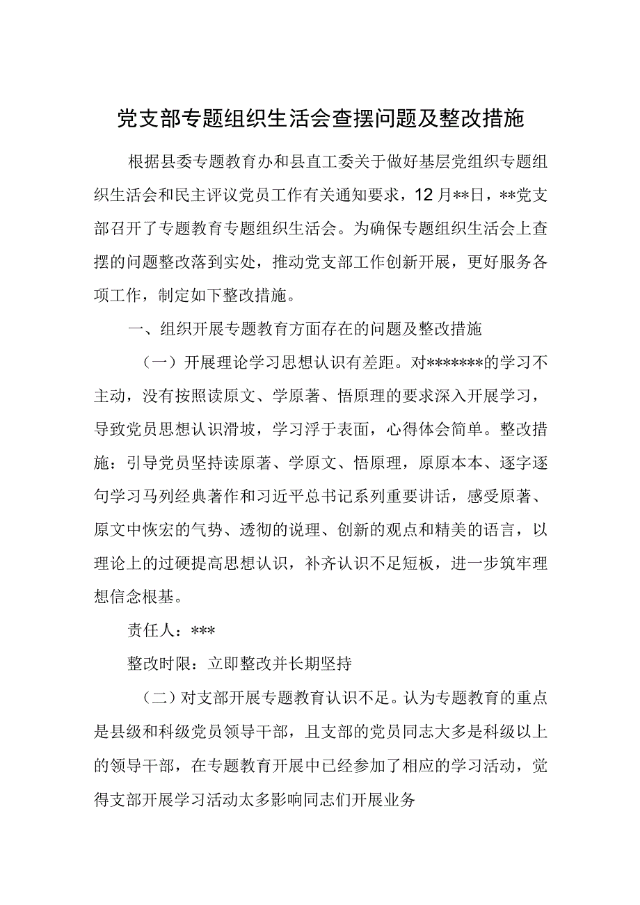 党支部专题组织生活会查摆问题及整改措施.docx_第1页