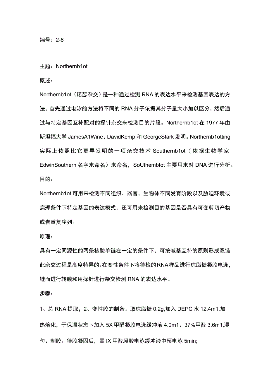 国家自然基金申请书写作：核酸检测篇8-Northern blot.docx_第1页