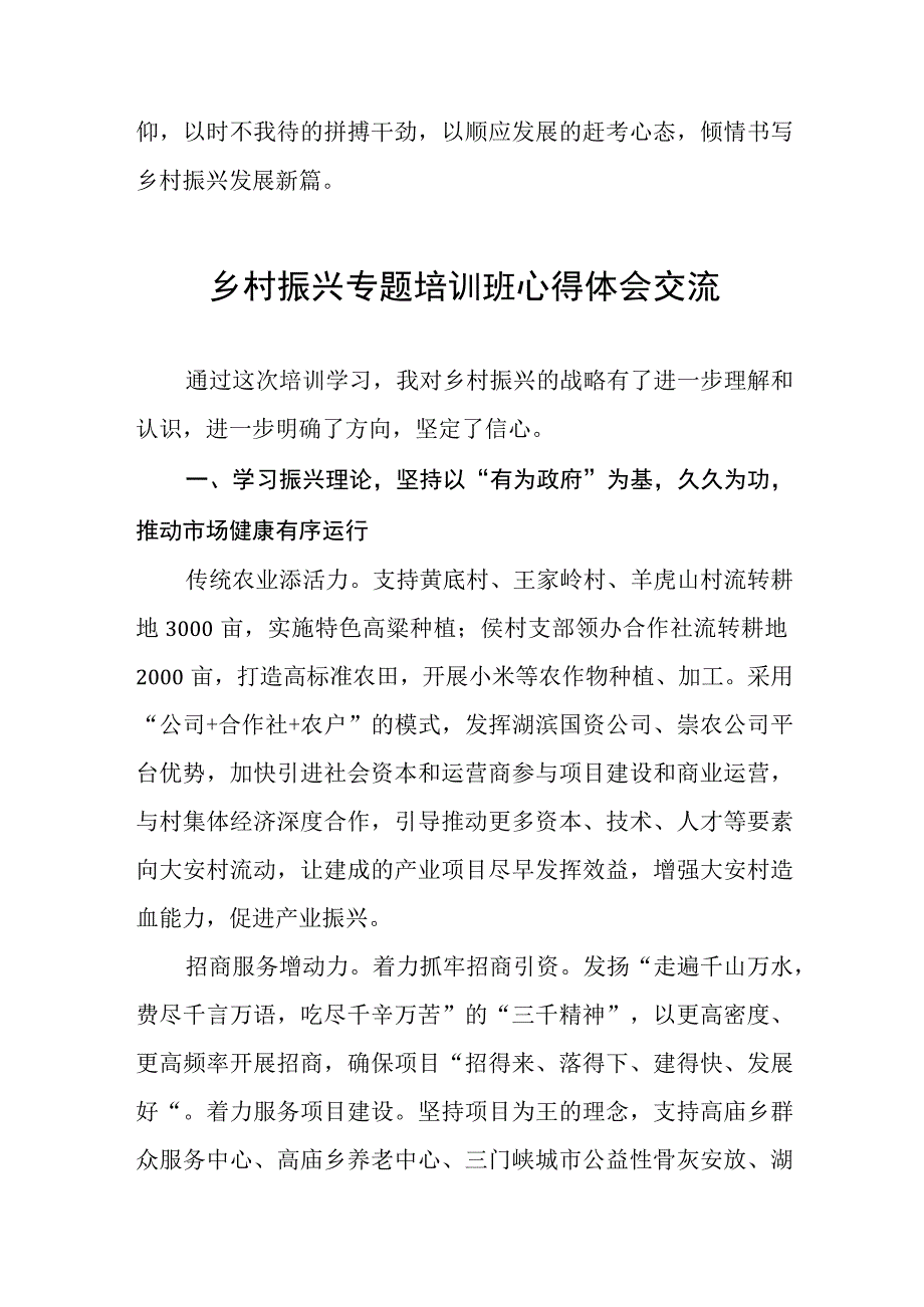 乡村振兴践行党的二十大精神研讨交流发言(五篇).docx_第3页