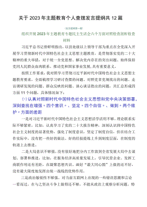 关于2023年主题教育个人查摆发言提纲共12篇.docx