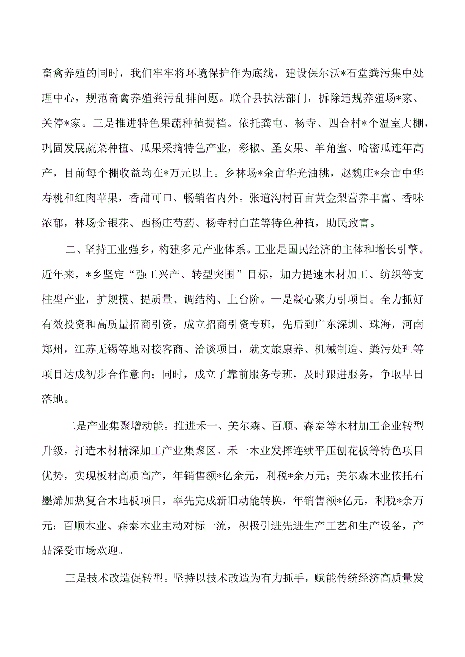 乡镇乡村振兴新闻发布会经验总结.docx_第2页