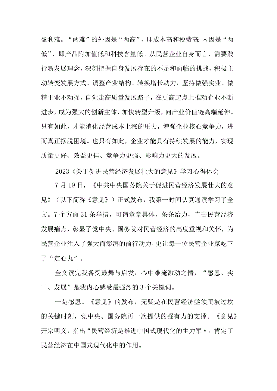 贯彻落实《关于促进民营经济发展壮大的意见》心得体会发言汇篇范文.docx_第3页