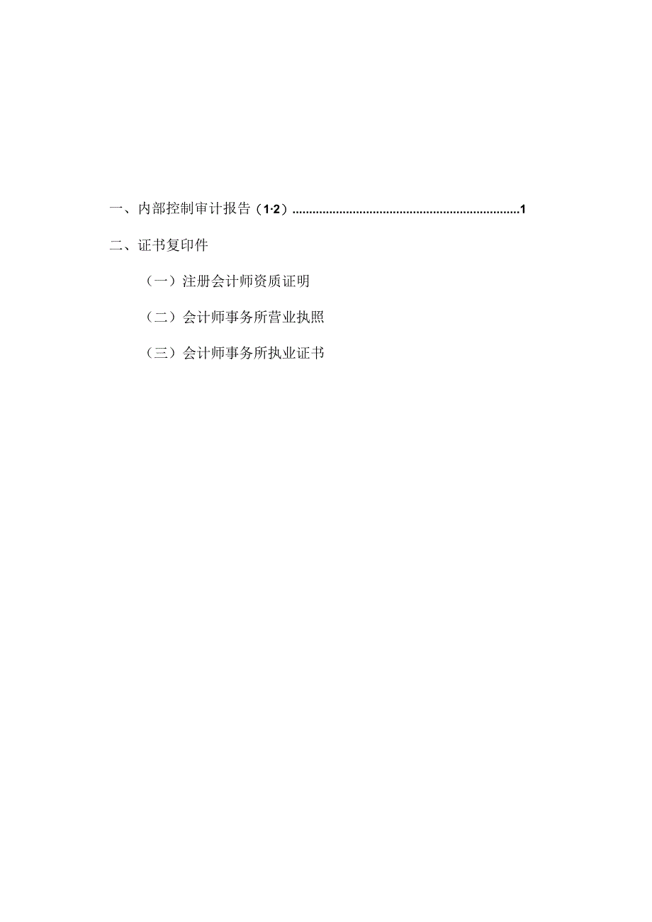 XX资讯股份有限公司202X年内部控制审计报告.docx_第2页