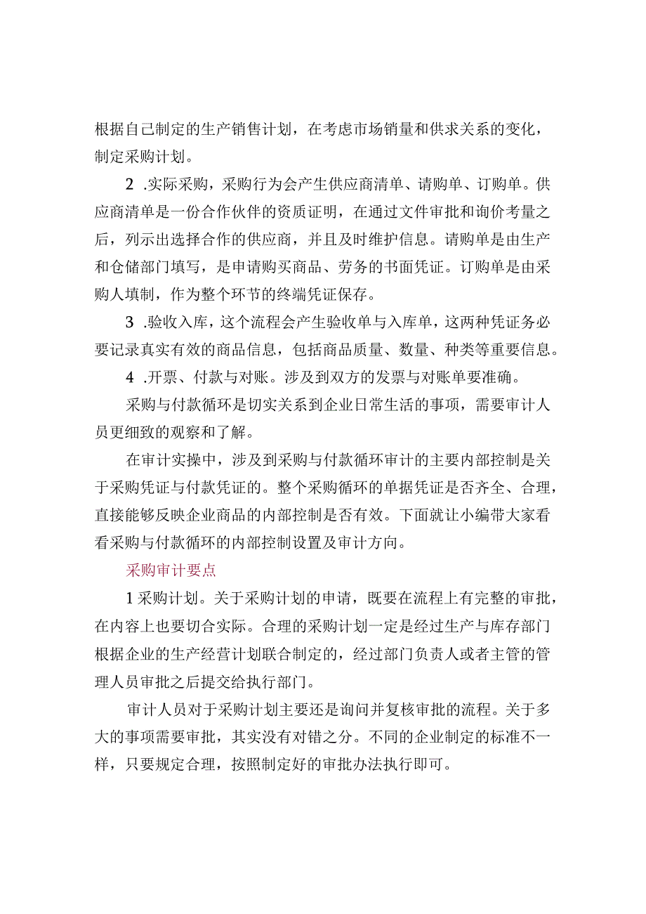 采购、付款审计10大要点.docx_第2页