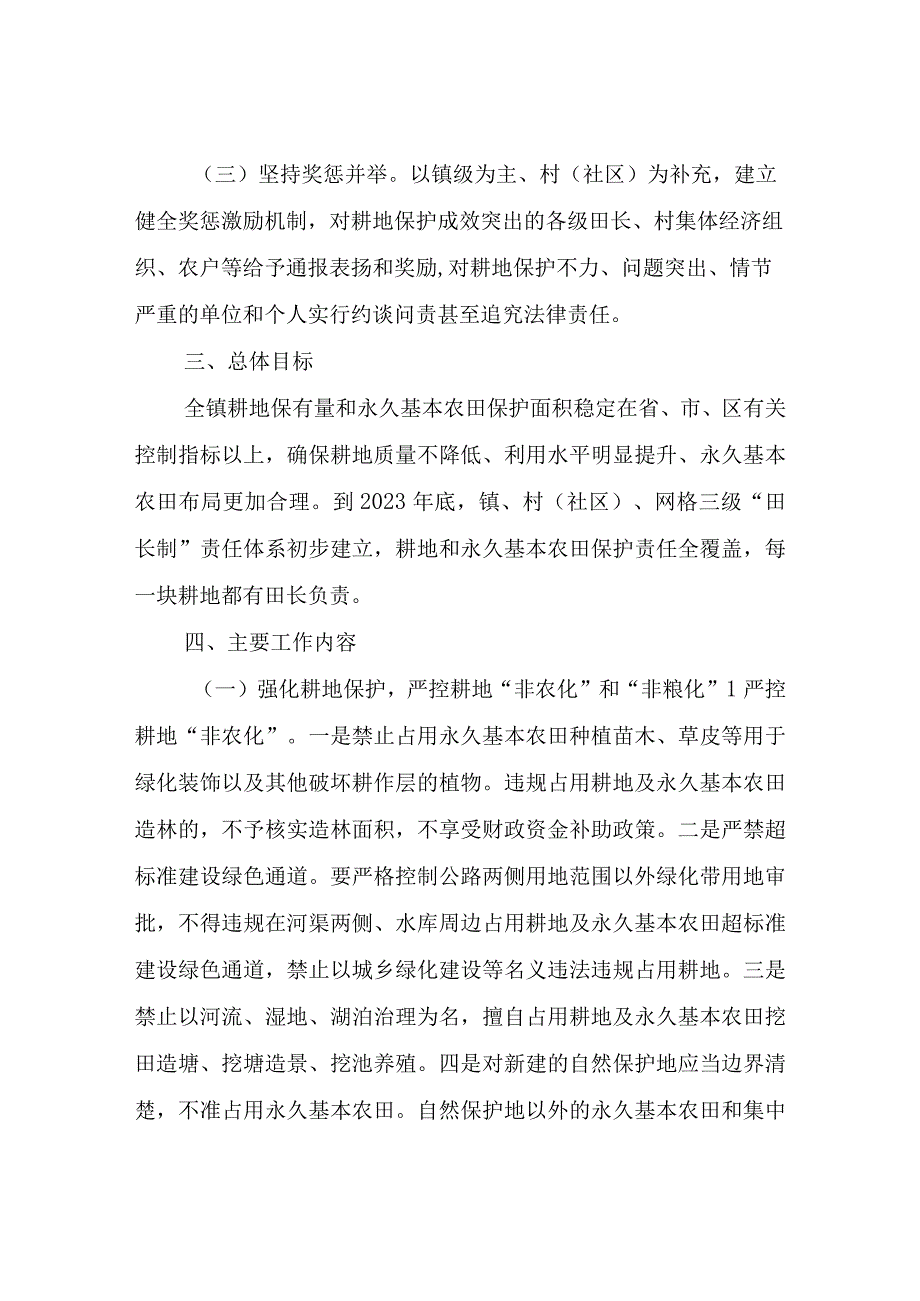 XX镇推行耕地保护“田长制”实施方案.docx_第2页