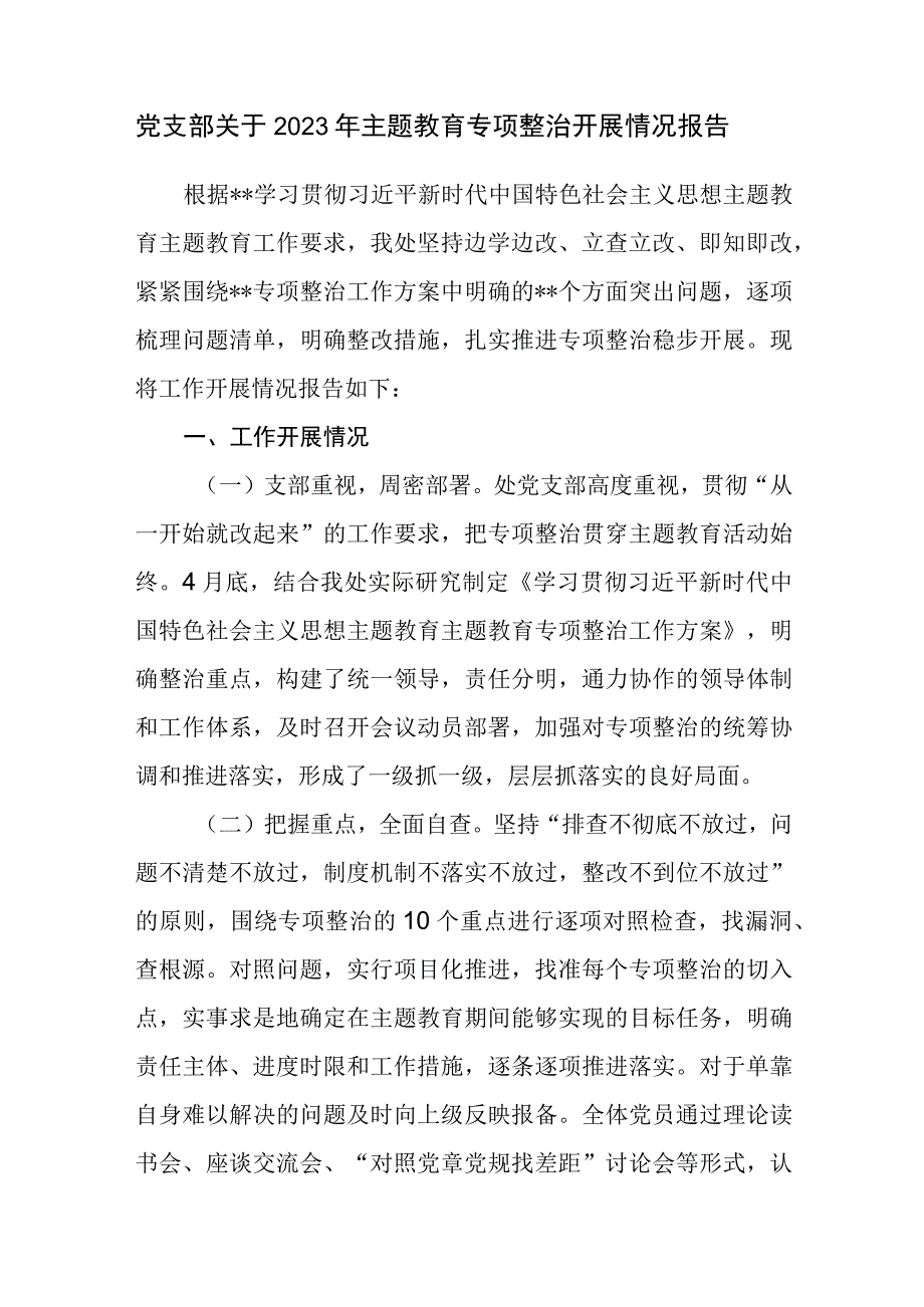 党支部关于2023年主题教育专项整治开展情况报告.docx_第1页