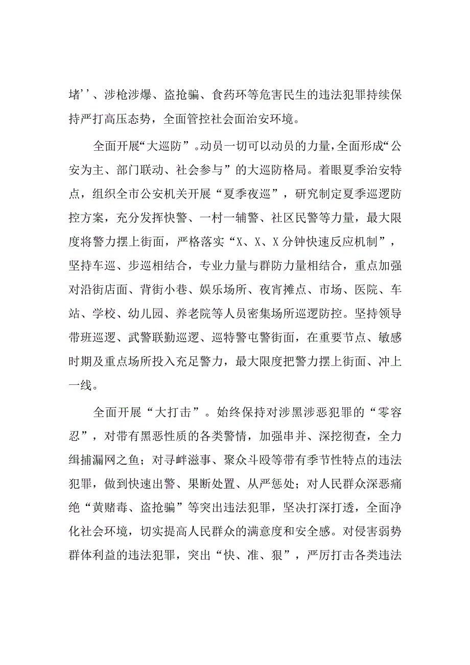 公安深入推进夏季治安打击整治“百日行动”工作总结报告六篇.docx_第3页