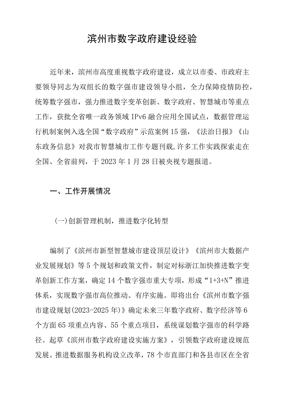 滨州市数字政府建设经验.docx_第1页