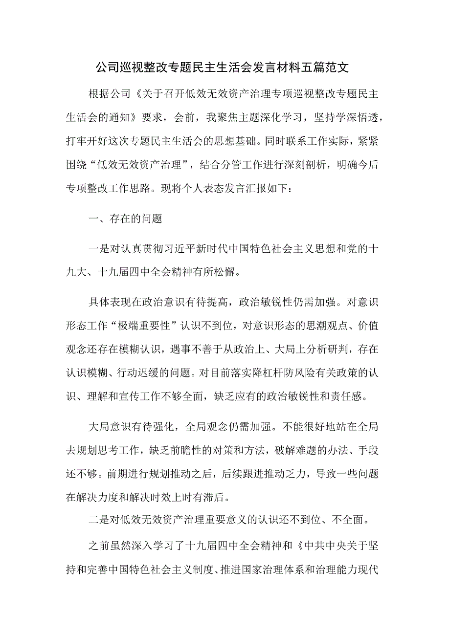 公司巡视整改专题民主生活会发言材料五篇范文.docx_第1页