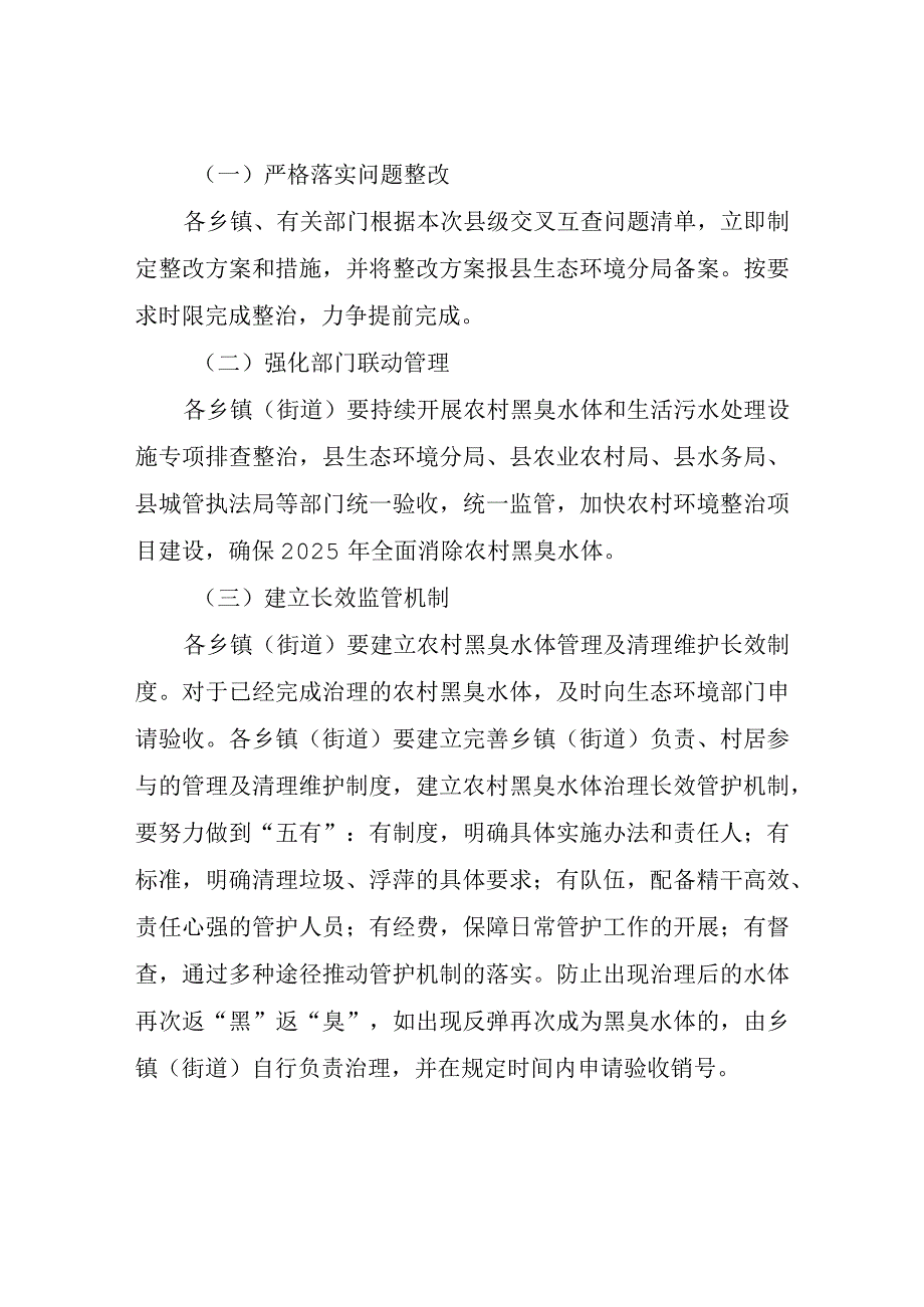 XX县农村黑臭水体县市交叉互查整改方案.docx_第2页