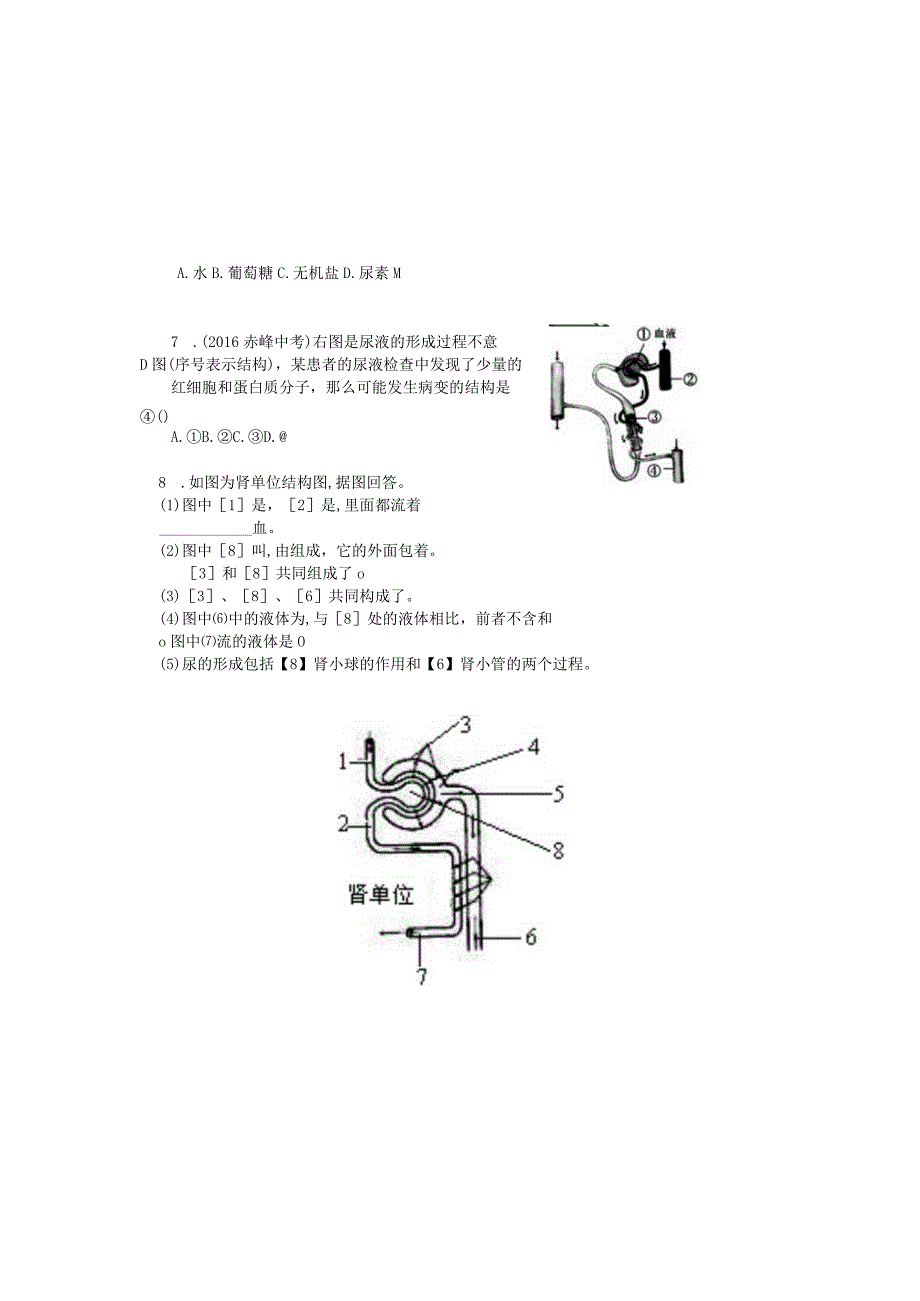 第五章《人体废物的排出》复习案.docx_第3页