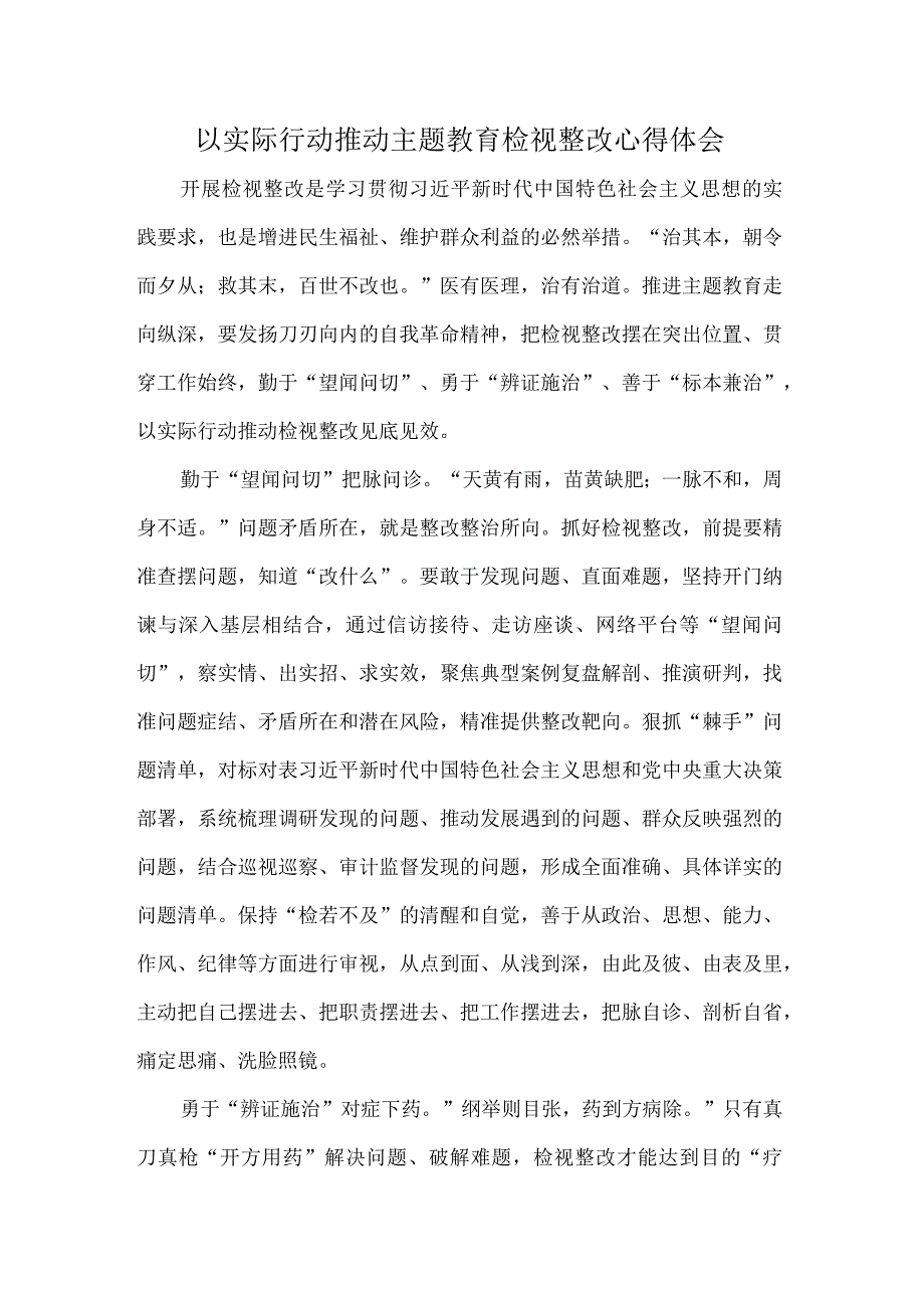 以实际行动推动主题教育检视整改心得体会.docx_第1页