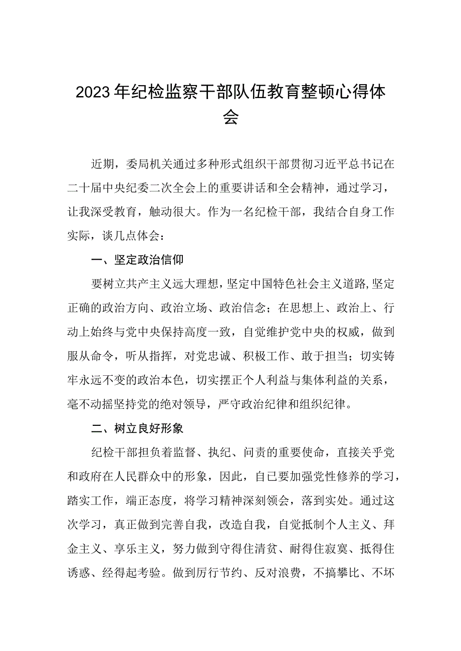 关于2023年纪检监察干部队伍教育整顿活动的心得体会6篇.docx_第1页