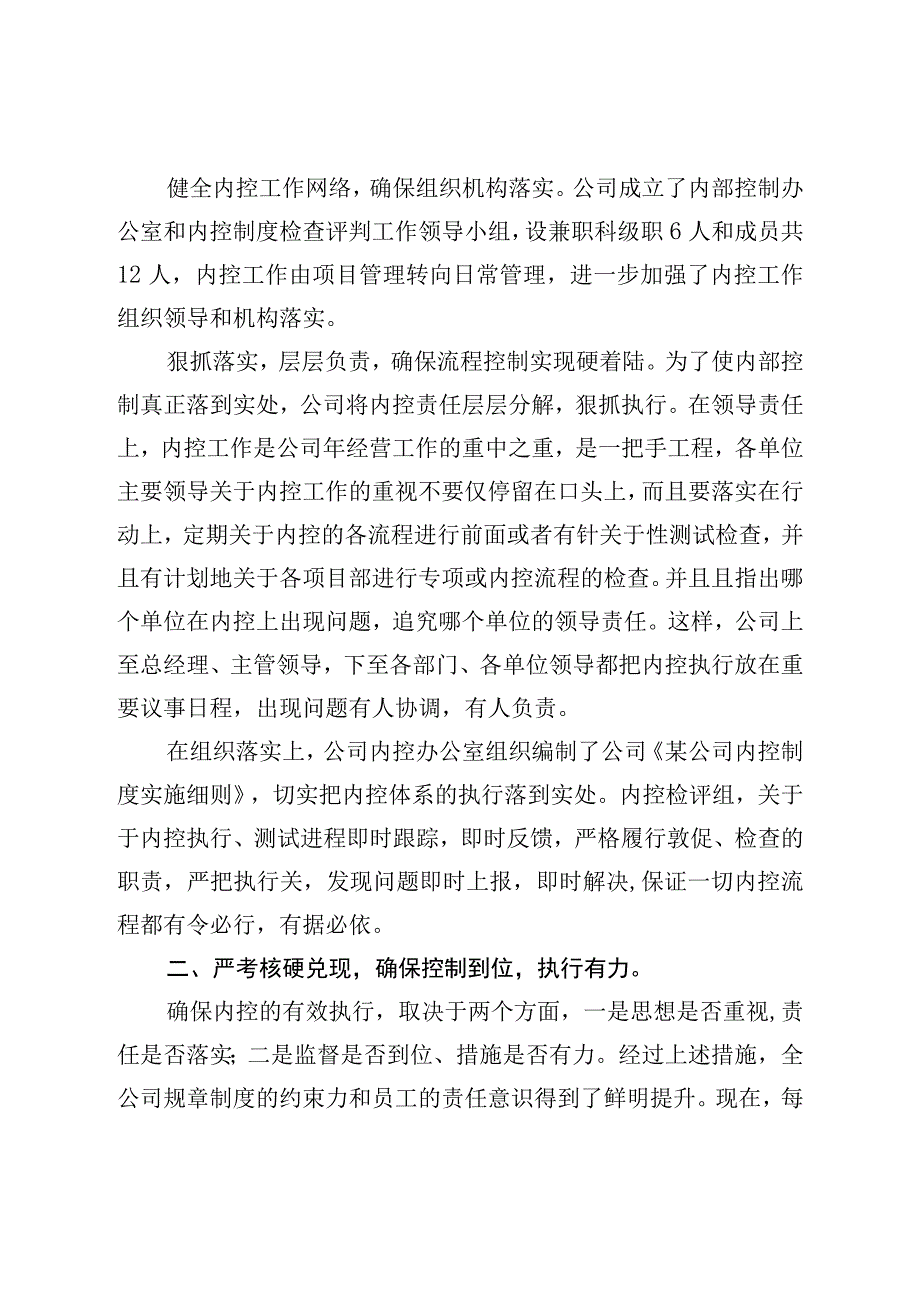 内部控制工作总结.docx_第2页