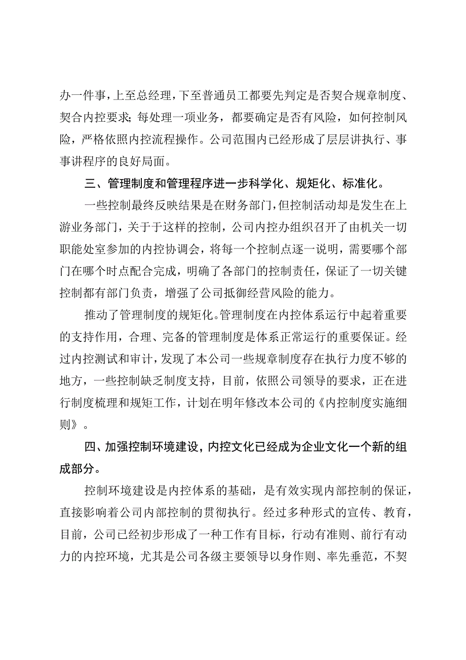 内部控制工作总结.docx_第3页