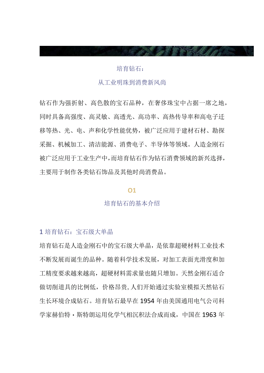 培育钻石行业研究调研分析.docx_第1页